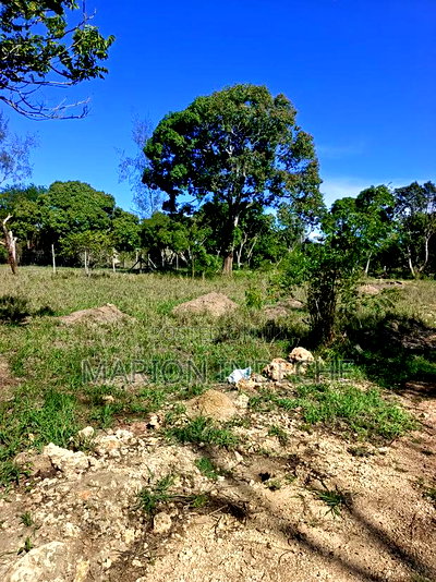 Prime 50*100ft Plots for Sale in Mtwapa - Image 3