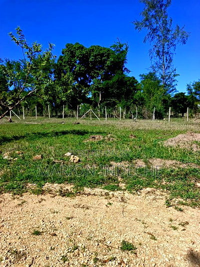 Prime 50*100ft Plots for Sale in Mtwapa - Image 9