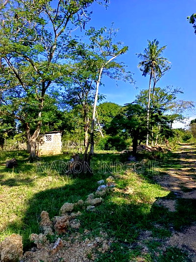 Prime 50*100ft Plots for Sale in Mtwapa - Image 13