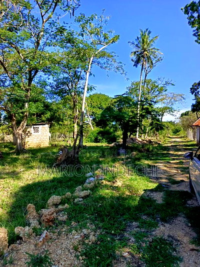 Prime 50*100ft Plots for Sale in Mtwapa - Image 10