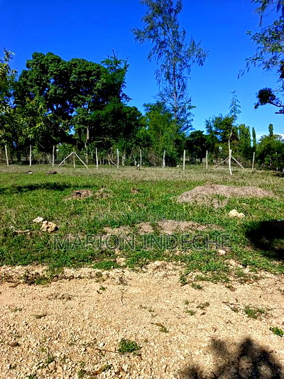 Prime 50*100ft Plots for Sale in Mtwapa - Image 7