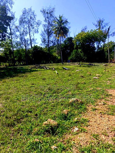 Prime 50*100ft Plots for Sale in Mtwapa - Image 4