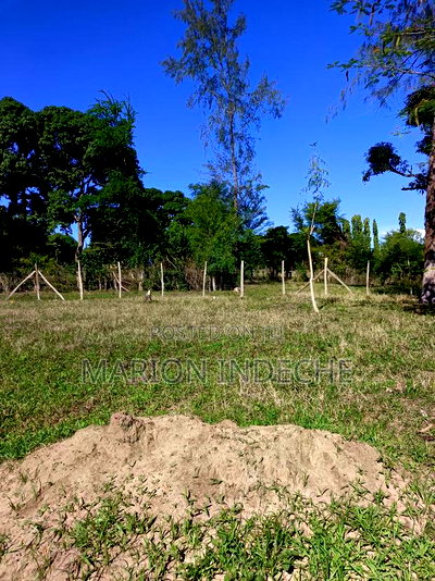 Prime 50*100ft Plots for Sale in Mtwapa - Image 12