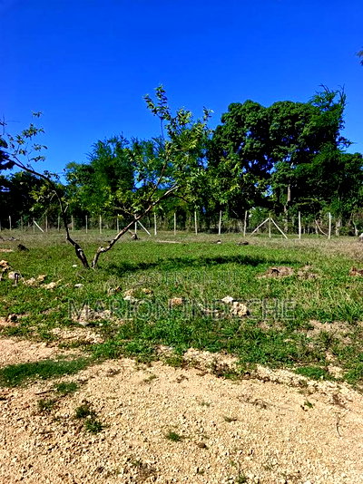 Prime 50*100ft Plots for Sale in Mtwapa - Image 8