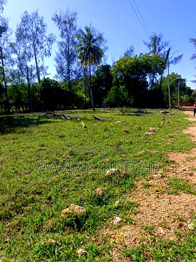 Prime 50*100ft Plots for Sale in Mtwapa - Image 1
