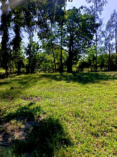 Prime 50*100ft Plots for Sale in Mtwapa - Image 2