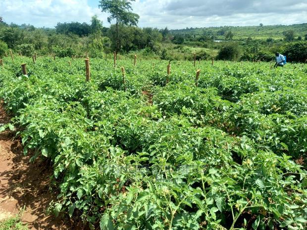 1 Acre for Sale at Maguguni