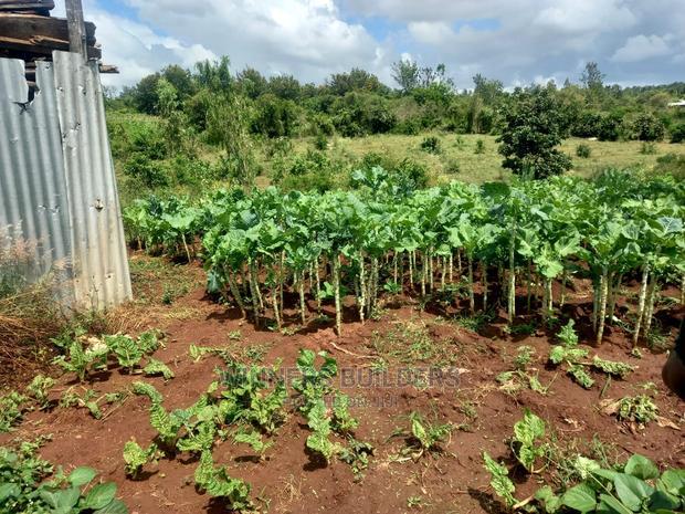 1 Acre for Sale at Maguguni