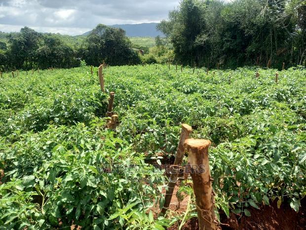 1 Acre for Sale at Maguguni