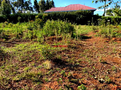 Plot For Sale In Limuru, Ndeiya Makutano. - Image 8