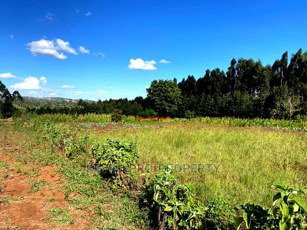 Plot For Sale In Limuru, Ndeiya Makutano.