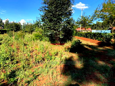 Plot For Sale In Limuru, Ndeiya Makutano. - Image 7