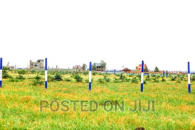 A Piece of the Great Kamakis - Image 2