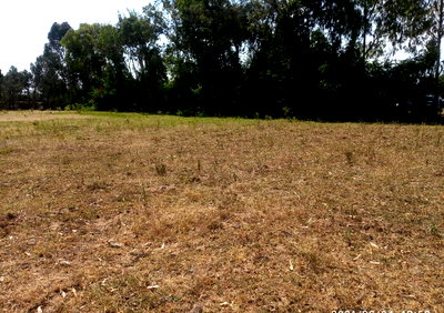 3-Acre Plot Behind Nanyuki Airstrip at KSh 2.5M