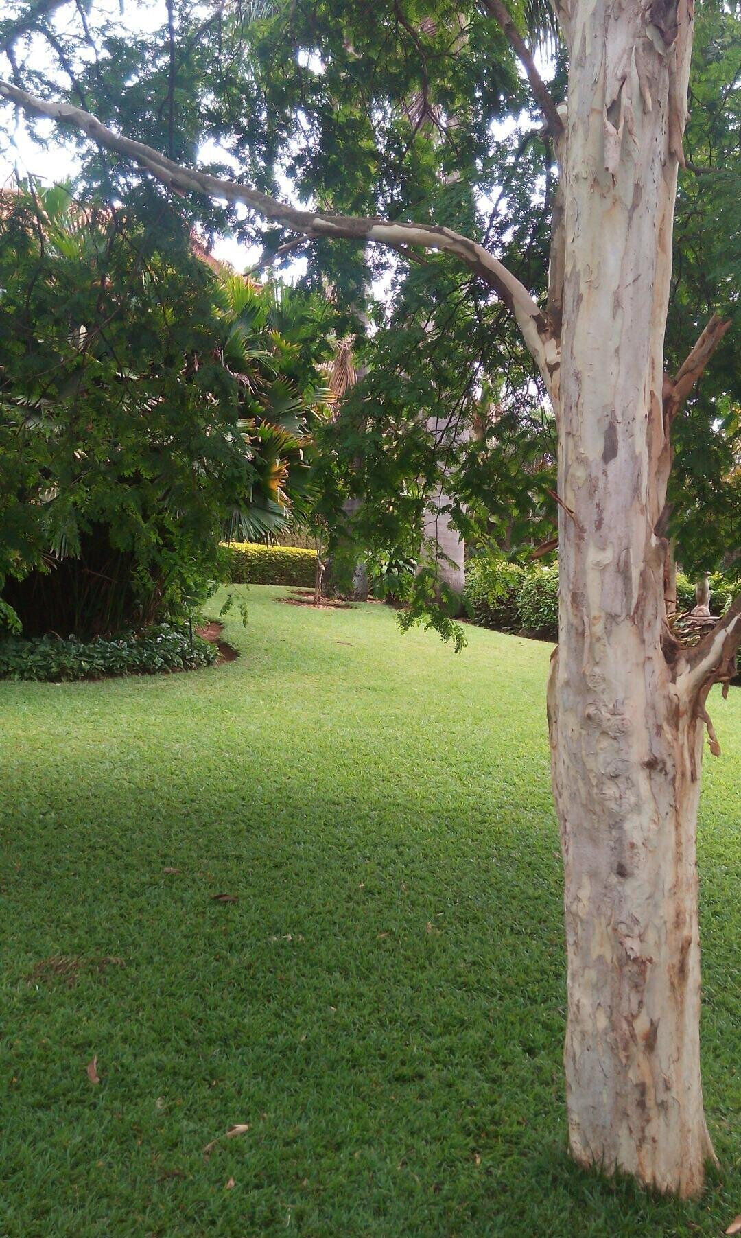Half Acre Garden Plot in Kiambu CBD