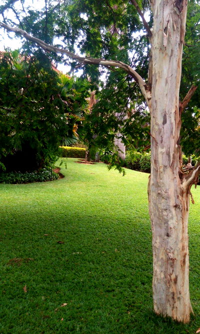 Half Acre Garden Plot in Kiambu CBD