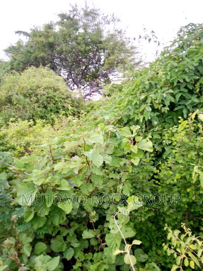 8acres For Sale - Image 2