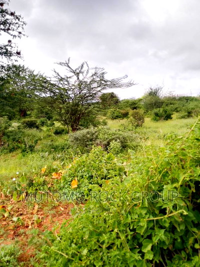 8acres For Sale - Image 1