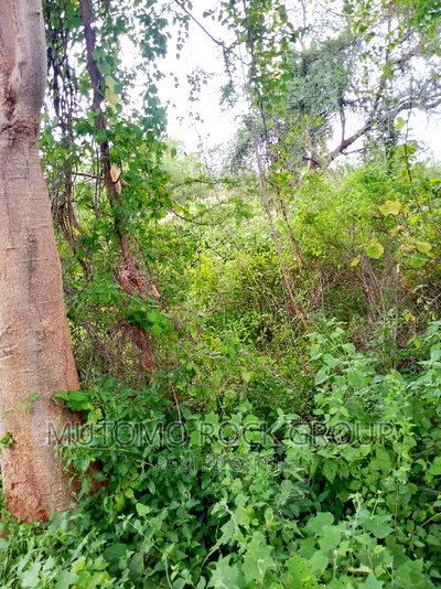 8acres For Sale - Image 4