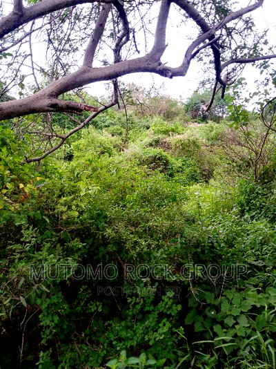 8acres For Sale - Image 3