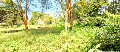 2-Acre Garden Plot in Westlands