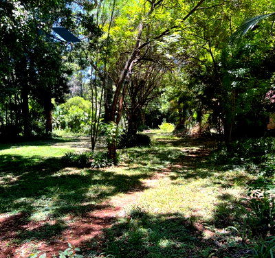 Half Acre Garden Plot in Kitisuru
