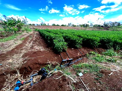 Sagana 7acres River Frontage Farm - Image 12