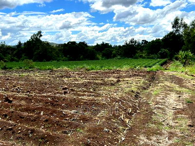 Sagana 7acres River Frontage Farm - Image 8