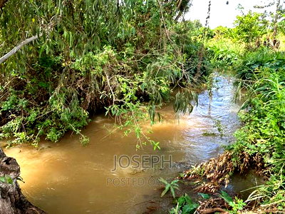 Sagana 7acres River Frontage Farm - Image 11