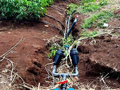 Sagana 7acres River Frontage Farm - Image 9