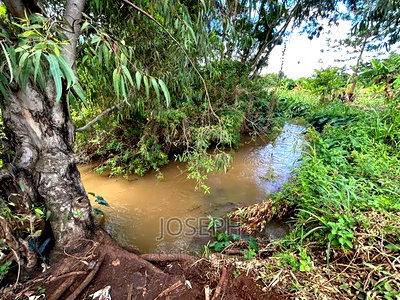Sagana 7acres River Frontage Farm - Image 4
