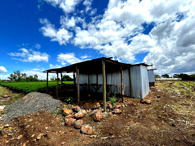 Sagana 7acres River Frontage Farm - Image 7