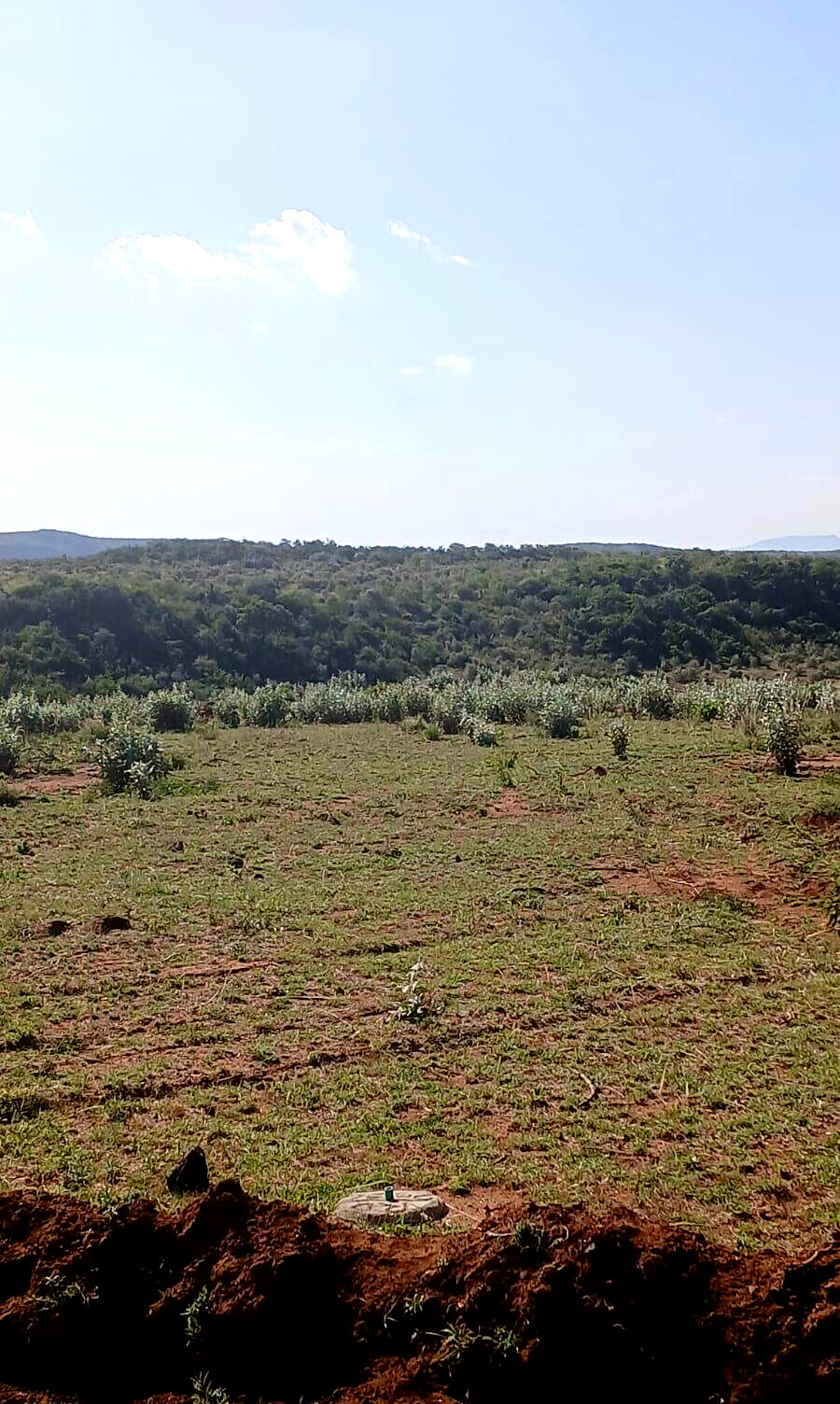 11-Acre Plot in Ngong at KSh 2.8M