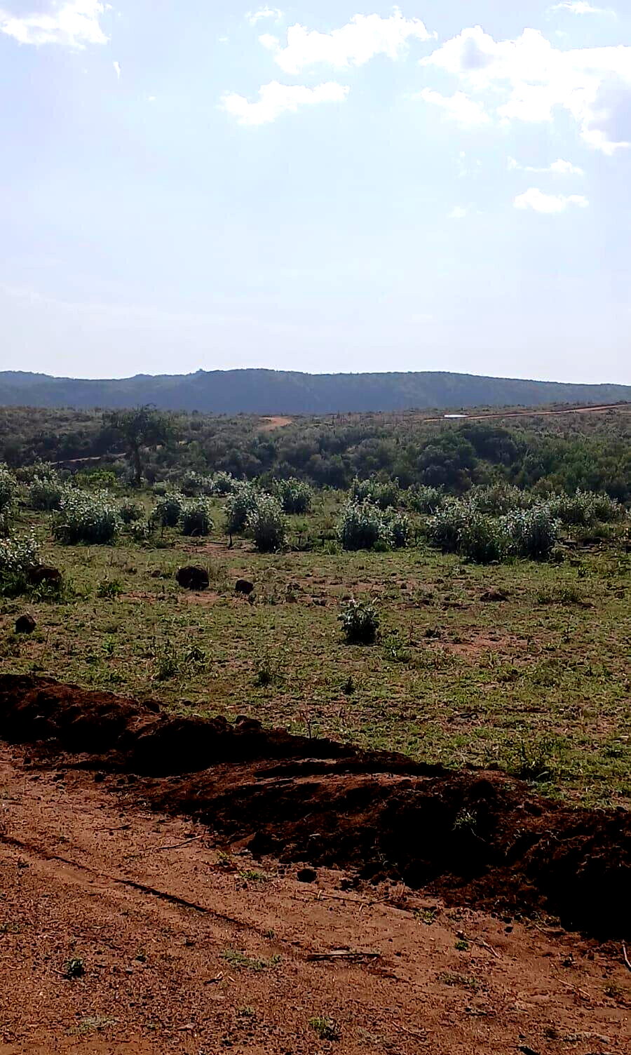 11-Acre Plot in Ngong at KSh 2.8M