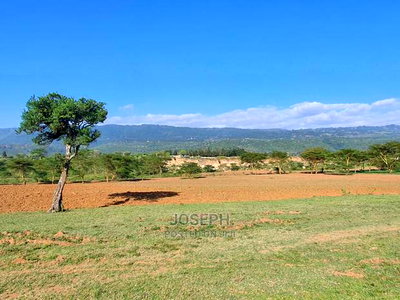 Mai Mahiu- Naivasha Highway 5 Acres Touching Tarmac - Image 8