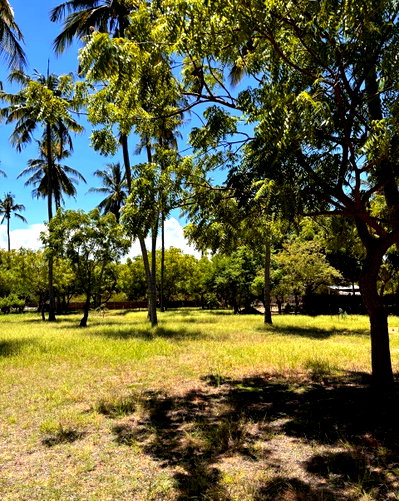 1.5-Acre Creek Frontage Plot in Watamu