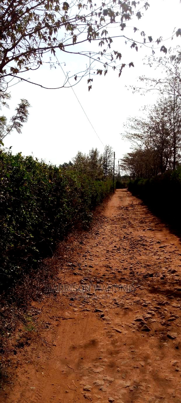 3 Acres for Sale in Ngong Kibiko, Flat Red Loam Soil.
