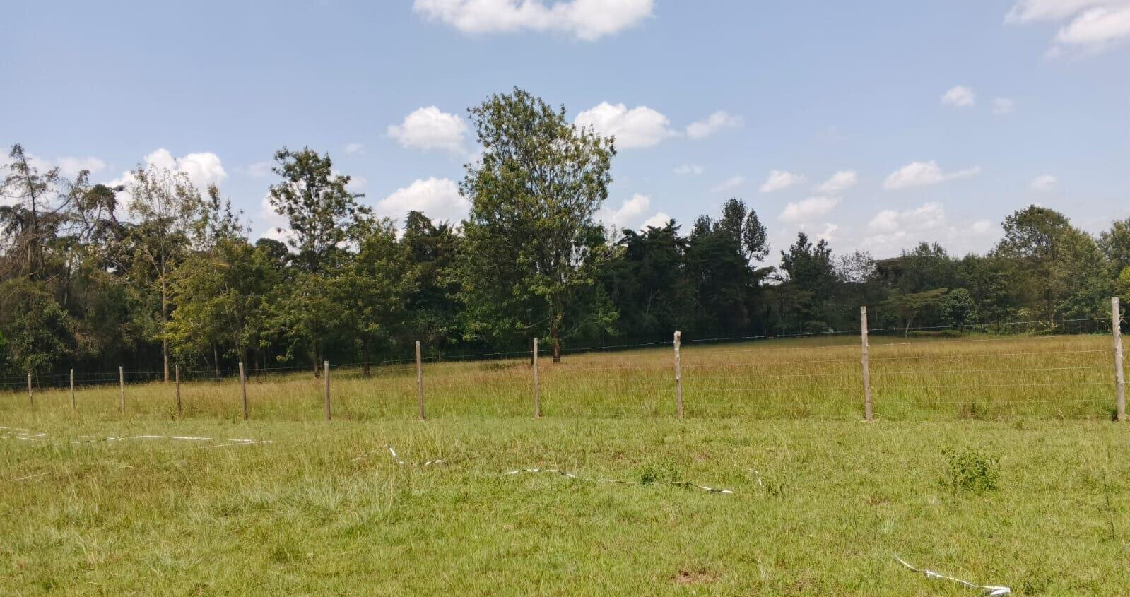 1-Acre Plot with Garden & Parking at KSh 67M