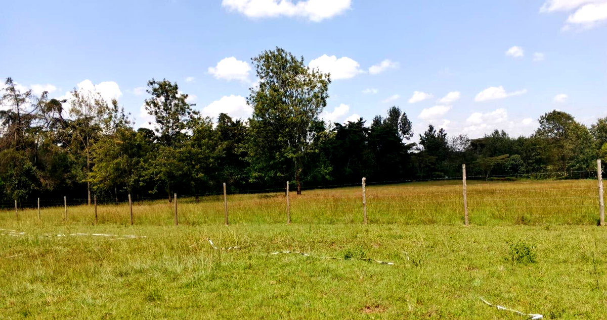 1-Acre Plot with Garden & Parking at KSh 67M