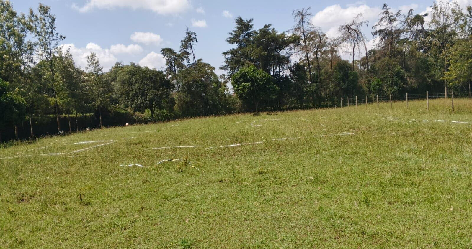 1-Acre Plot with Garden & Parking at KSh 67M