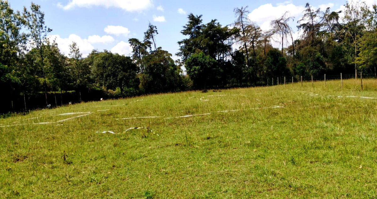 1-Acre Plot with Garden & Parking at KSh 67M