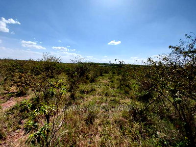 Prime Land for Sale in Tuala-Rongai - Image 2