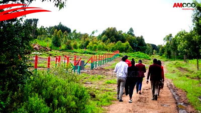 Plots for Sale in Kamangu - Image 1