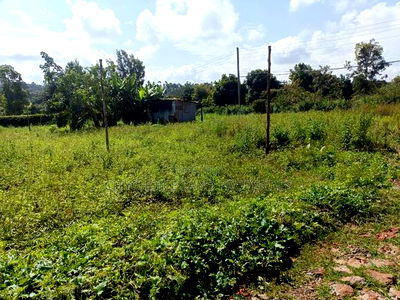 0.125 Ac Prime Land for Sale in Gikambura - Image 2