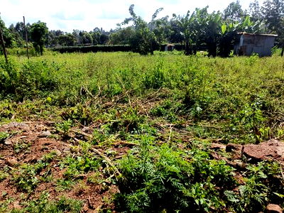 0.125 Ac Prime Land for Sale in Gikambura - Image 4