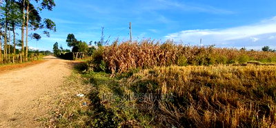 1/8 Acre Plots for Sale in Kiplombe Mtrh Eldoret - Image 8