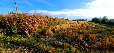 1/8 Acre Plots for Sale in Kiplombe Mtrh Eldoret - Image 7