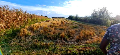 1/8 Acre Plots for Sale in Kiplombe Mtrh Eldoret - Image 6