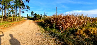 1/8 Acre Plots for Sale in Kiplombe Mtrh Eldoret - Image 1