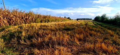 1/8 Acre Plots for Sale in Kiplombe Mtrh Eldoret - Image 3